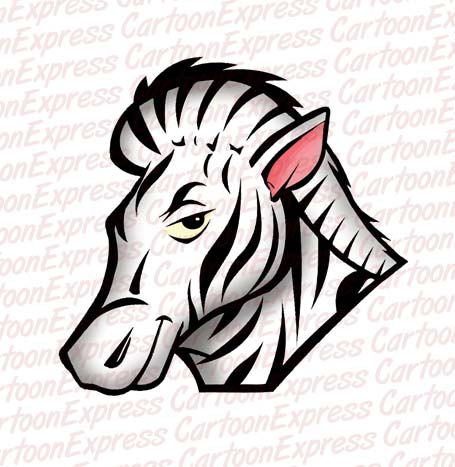 zebra